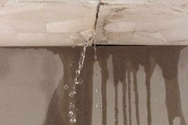Professional Burst Pipe Cleanup technician working in Cheney, WA